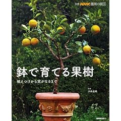 ���ň�Ă�ʎ��\�A������������Ȃ�܂� (�ʍ�NHK��̉��|)