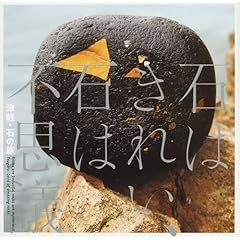 【クリックで詳細表示】石はきれい、石は不思議―津軽・石の旅 (INAX BOOKLET) [単行本(ソフトカバー)]