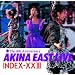 �S�[���f�����x�X�g AKINA EAST LIVE INDEX-XXIII�@(2011���}�X�^�[)