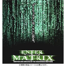 ENTER THE MATRIX (Playstation2)