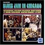 Blues Jam in Chicago, Vol. 1