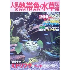 �l�C�̔M�ы��E�����}�Ӂ\200��ވȏ���Љ�E������������ň��S