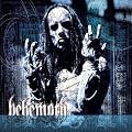 Thelema 6