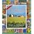 365 Days in Italy 2009 Calendar (Picture-A-Day Wall Calendars)