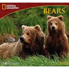 National Geographic Bears 2012 Calendar