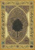 [DVD]遊佐未森 Picture HOPE-Holiday Of Planet Earth- [DVD]