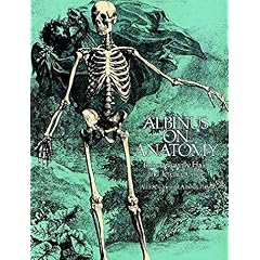 【クリックでお店のこの商品のページへ】Albinus on Anatomy (Dover Anatomy for Artists) [ペーパーバック]