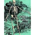 Albinus on Anatomy (Dover Anatomy for Artists)