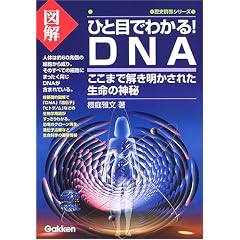 �}���ЂƖڂł킩��!DNA�\�����܂ŉ����������ꂽ�����̐_�� (���j�Q���V���[�Y)
