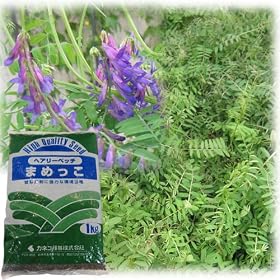 �w�A���[�x�b�` �܂߂��� 1kg����[�^�l][�Δ�A�i�ύ앨][9~11���A3~5���܂�]