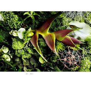 Encyclopedia of Flowers―植物図鑑