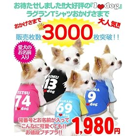 �����̂����O���聚�w�ԍ��{�����O��2011�A�C���u�h�b�O���O�����V���c�������O����̂��ߕԕi�E�����s���T�b�J�[���j�t�H�[���T�����C�Ȃł����W���p�����b�hSD