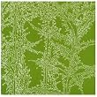ALCACHOFA (�A����)