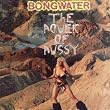 Power of Pussy