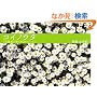 �R�C�m�E�^�w�����^�Ɍ���50�̂������x