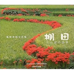 �I�c�\����ڂ̎l�G �~��G�a�ʐ^�W