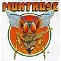 The Very Best of Montrose