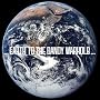 ...Earth to the Dandy Warhols...