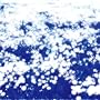 microcosmos