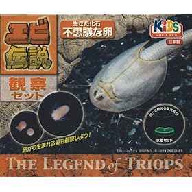 �j�`�h�E �G�r�`��