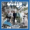 Tulip ���������Ȃ��ׂ� 1972-2006 ~Mature Days
