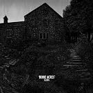 Home Acres (Ogv) [12 inch Analog]