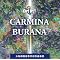 ���t�y�̖��ȁu�J���~�i�E�u���[�i�kCarmina Burana�l�i�I���t�j�v