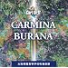���t�y�̖��ȁu�J���~�i�E�u���[�i�kCarmina Burana�l�i�I���t�j�v