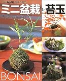 �~�j�~�͂Ƒۋʁ\���s���Ȃ���ĕ� (�ʍ�NHK��̉��|)