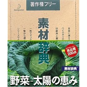 �f�ގ��T Vol.135 ���~���z�̌b�ݕ�
