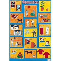 Opposites (Laminated posters)