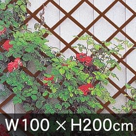 �ؐ��L�k�g�����X�Ė��� 100�~200cm