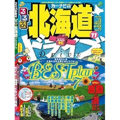 ���ԃi�r�k�C���h���C�u�f11 (���ԏ��� �k�C�� 8)