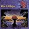 ALLMAN BROTHERS BAND �h���̗��j