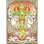 Rahmens presents �wGOLDEN BALLS LIVE�x NAMIKIBASHI Satellite mix [DVD]
