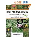 ���{�A���A���ʐ^�}�Ӂ\Plant invader600��