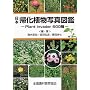 ���{�A���A���ʐ^�}�Ӂ\Plant invader600��