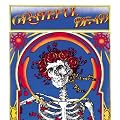 The Grateful Dead (Skull & Roses)