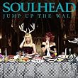 JUMP UP THE WALL�iDVD�t�j