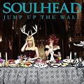 JUMP UP THE WALL�iDVD�t�j