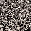Listen Without Prejudice