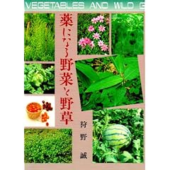 ��ɂȂ��؂Ɩ쑐 (�O��}�����N�V���[�Y)