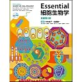 Essential�זE�����w�qDVD�t�r������3��