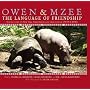 Owen & Mzee: The Language of Friendship