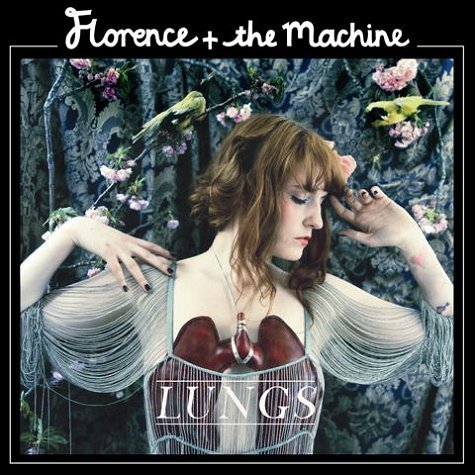  Lungs