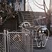 �T���V���C��