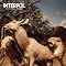 2007 My BEST Albums �y���S�Łz