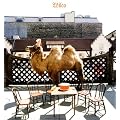 Wilco (The Album) (Bonus CD) (Ogv) [12 inch Analog]