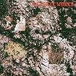 The Icicle Works