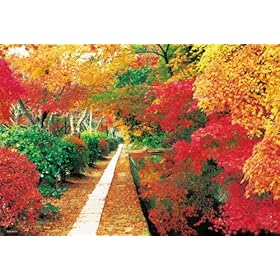 【クリックで詳細表示】300ピース もみじ華やぐ哲学の道 73-175